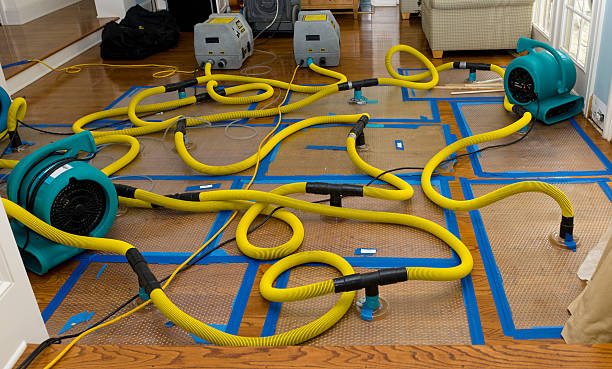 Professional Basement Flood Cleanup technician working in Allamuchy, NJ